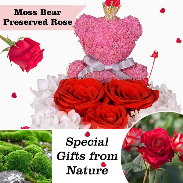 Rose Moss Bear with Flash Light Valentine's Day Gift for Her Wedding Decoration Romantic Anniversary Birthday Mother Day Gifts