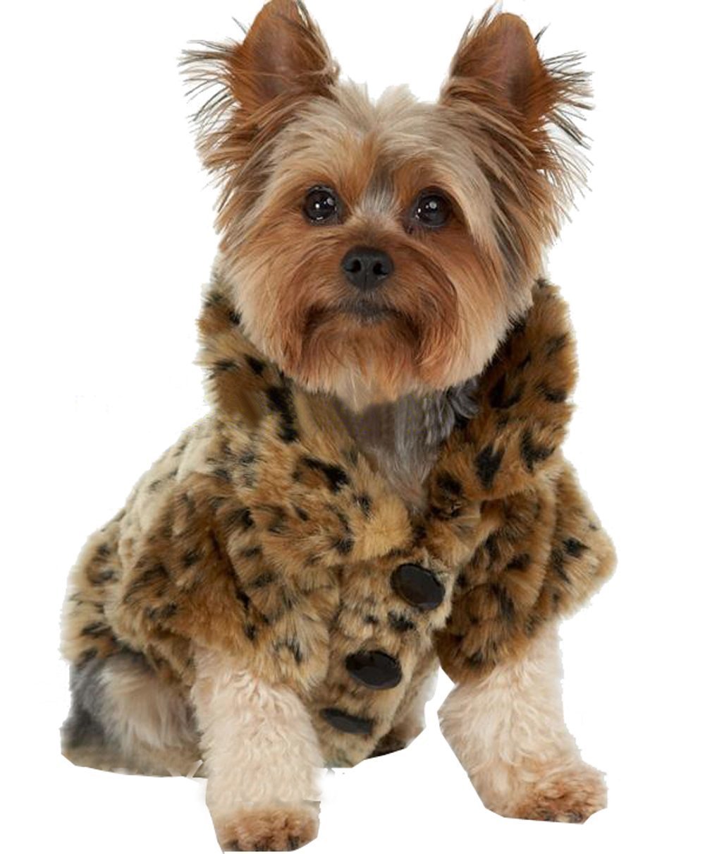 Generic Luxury Pet Dogs Coat Winter Clothes M ZopiStyle
