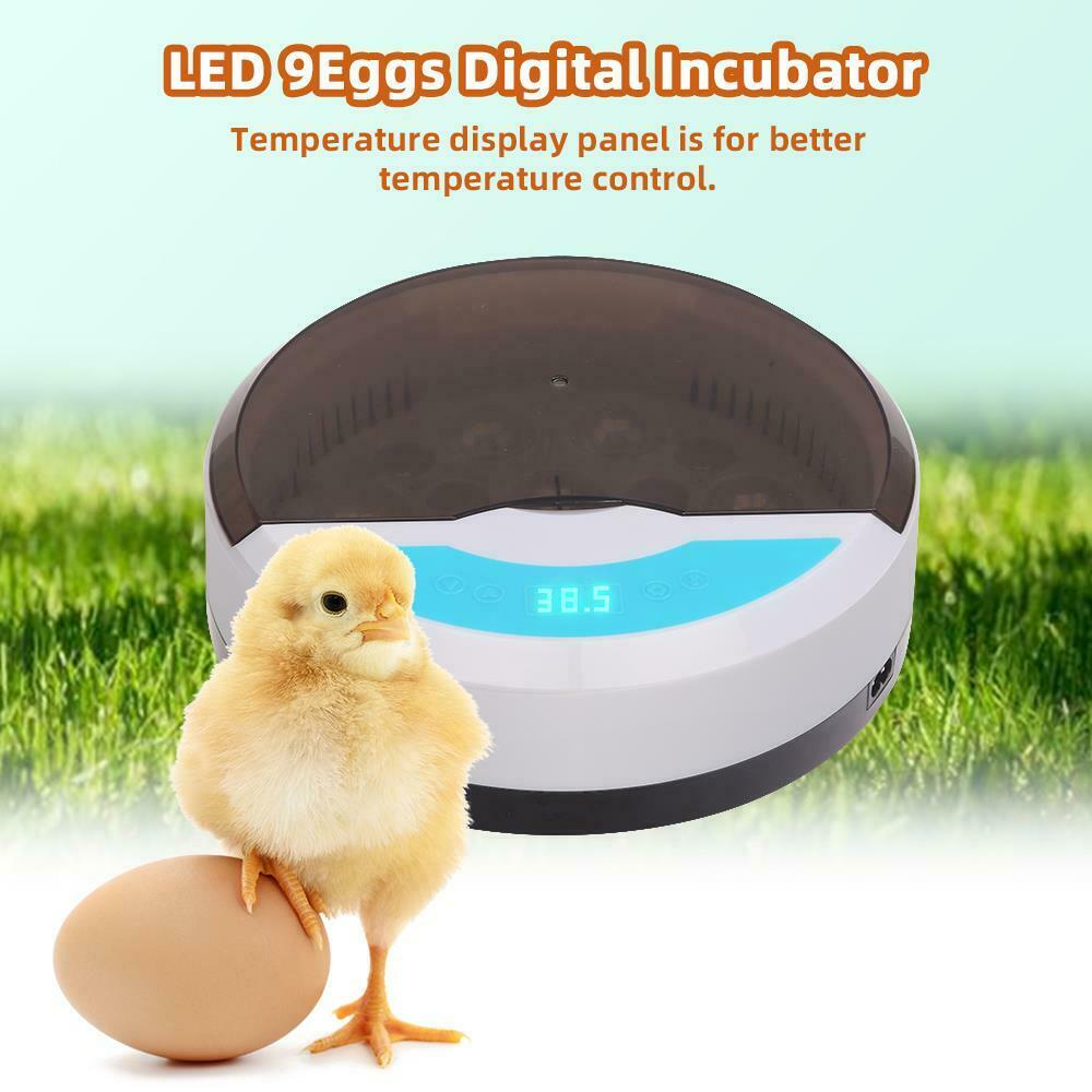 9 Eggs Incubator Stable Temperature Control Compact Button Led Light for Incubation Tools European regulations ZopiStyle