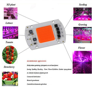 15W/20W/30W/50W LED COB Full Spectrum Plant Growth Lamp 380-840nm ZopiStyle