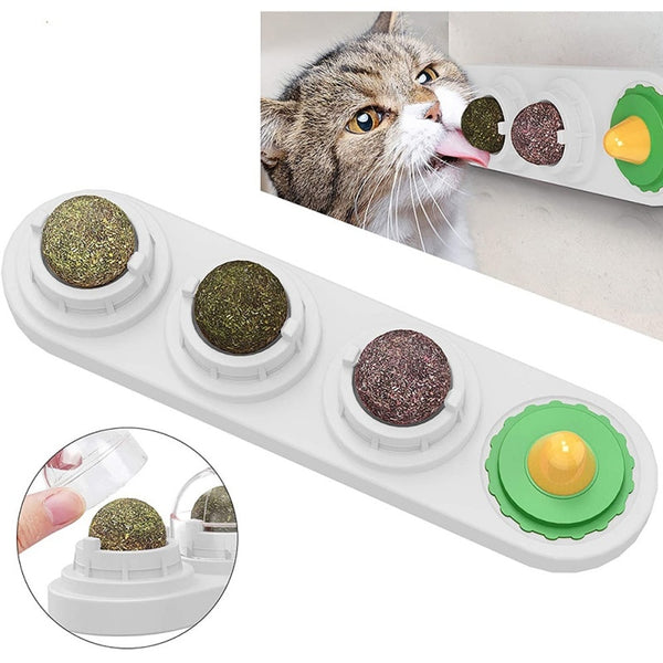 Natural Catnip Toys For Cats Healthy Cat Toys Promote Gastric For Kitten Edible Treating Cat Candy Licking Snacks Cat Supplies ZopiStyle