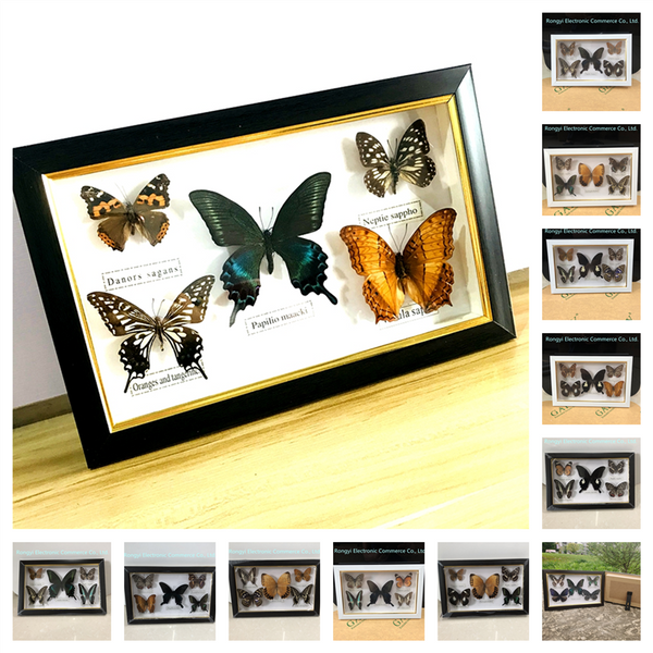 Beautiful Butterfly Specimen Educational Material Collection/Butterfly Specimen Photo Frame Artwork Decoration Home Decoration ZopiStyle