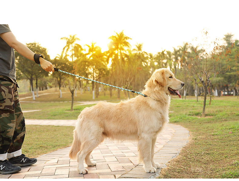 Reflective Nylon Dog Training Traction Rope Dog Walking Pet Dog Training Round Rope P Rope Orange ZopiStyle