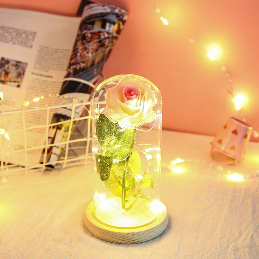 Glass Cover Rose Flowers LED Light String Gift Women Girls on Birthday Holiday Christmas Powered by Batteries pink white ZopiStyle