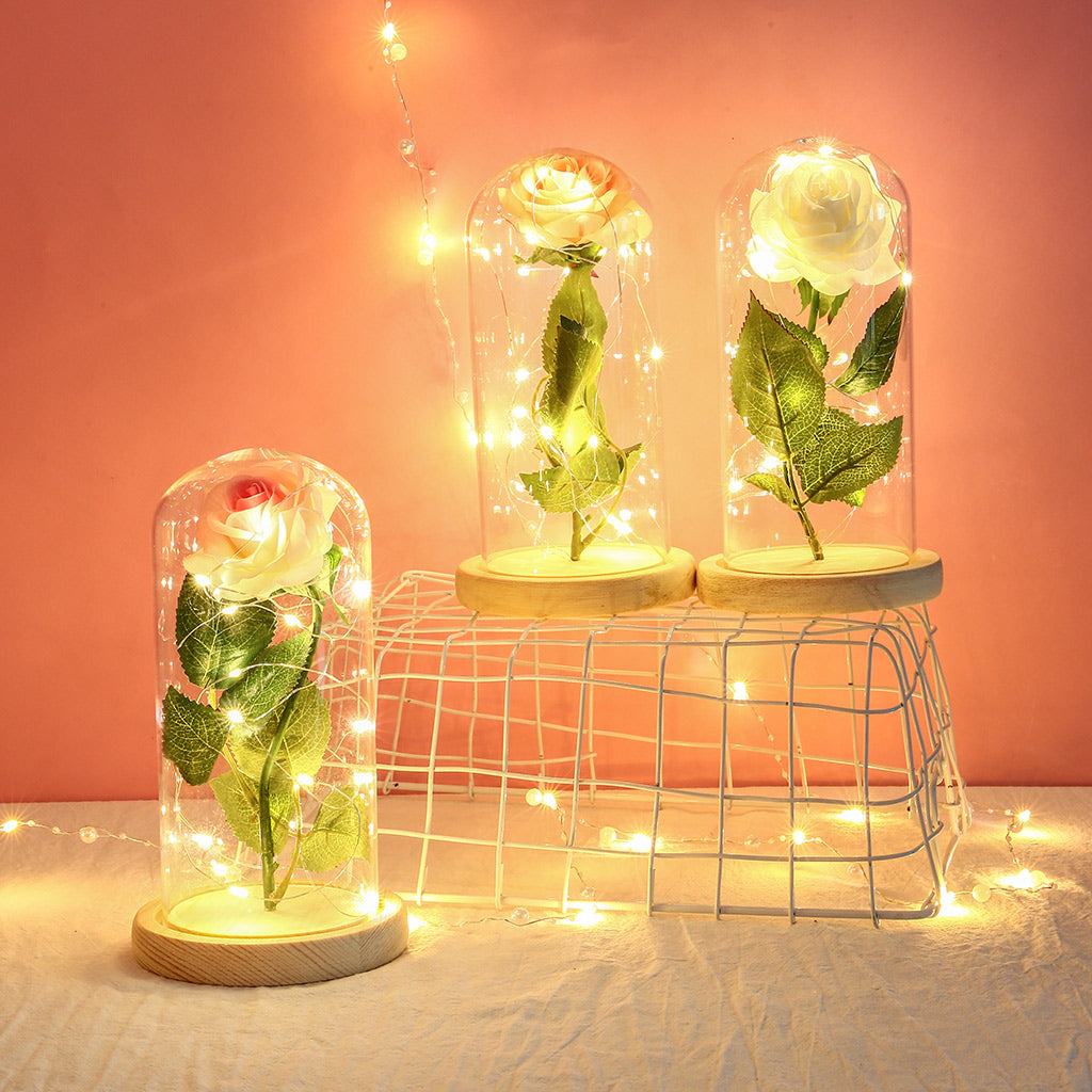 Glass Cover Rose Flowers LED Light String Gift Women Girls on Birthday Holiday Christmas Powered by Batteries pink white ZopiStyle