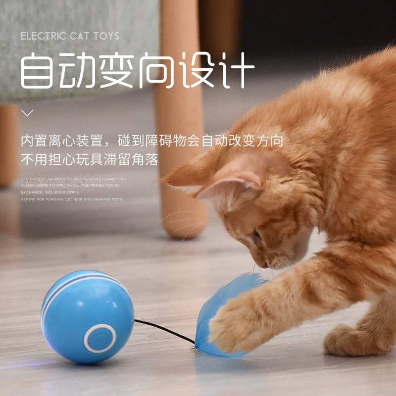 LED Teaser Ball with Replacement Head Electric Cat Toys for Pet white ZopiStyle