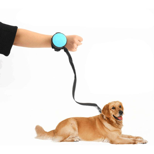 Pet Leashes Hands-free Automatic Shrink Nylon Leash Pets Pull Dog Chains Traction Ropes blue_L ZopiStyle