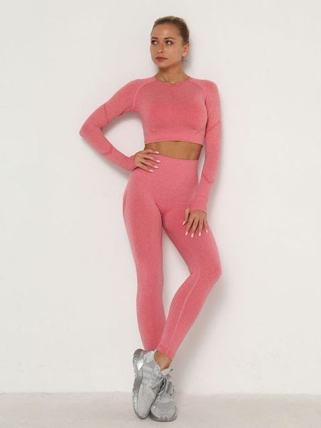 Women&#39;s Sets Skinny Tracksuit Breathable Bra Long Sleeve Top Seamless Outfits High Waist Push Up Leggings Gym Clothes Sport Suit ZopiStyle