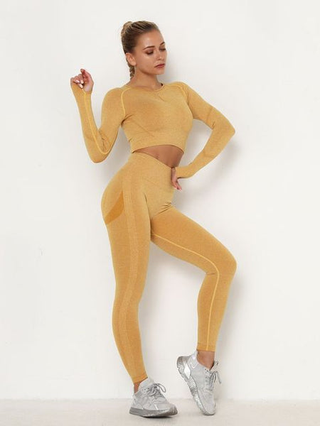 Women&#39;s Sets Skinny Tracksuit Breathable Bra Long Sleeve Top Seamless Outfits High Waist Push Up Leggings Gym Clothes Sport Suit ZopiStyle