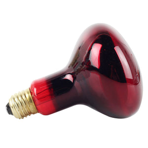 150W R95 Infrared Bulb for Lizard Tortoise Snake Heat Lamp ZopiStyle