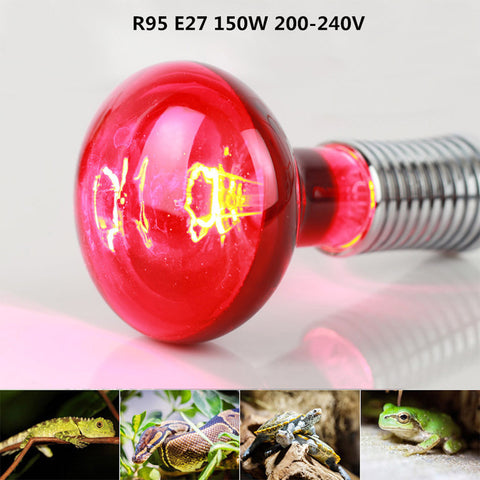 150W R95 Infrared Bulb for Lizard Tortoise Snake Heat Lamp ZopiStyle