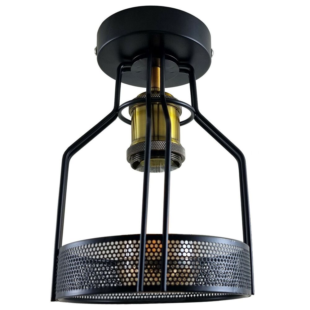 Vintage Industrial Flush Mount Ceiling Light Fitting Metal Bird Cage LEDSone