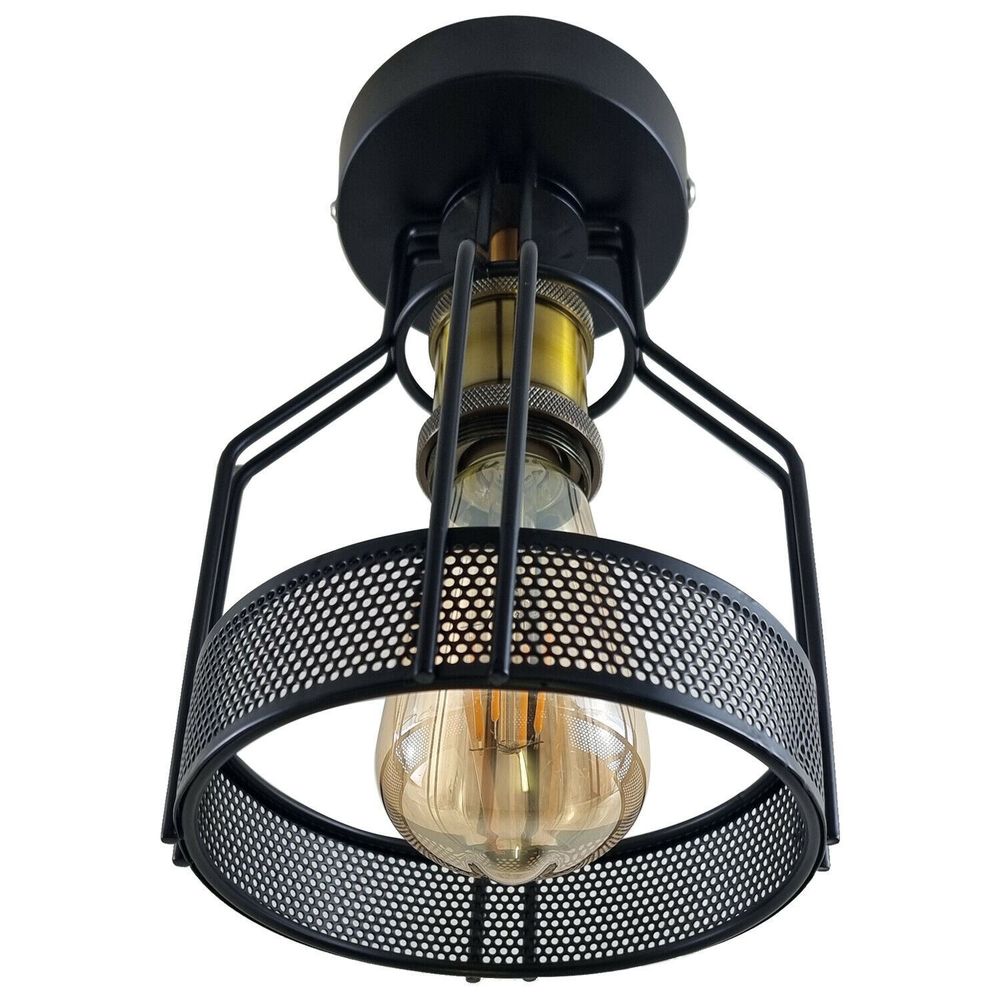 Vintage Industrial Flush Mount Ceiling Light Fitting Metal Bird Cage LEDSone