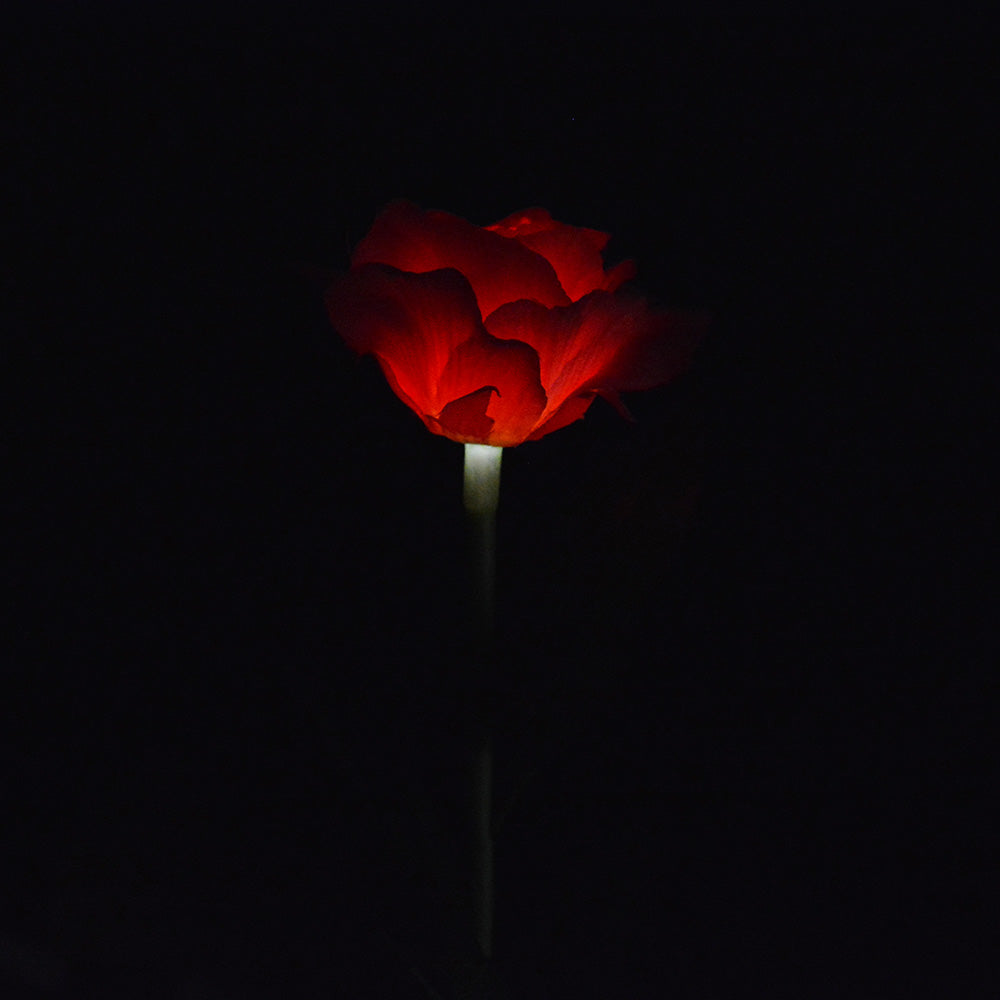 Outdoor Solar Lights, Rose Flower Solar Powered LED Stake Light, Landscape Decorative Night Light for for Yard Garden Pathway Bright red ZopiStyle