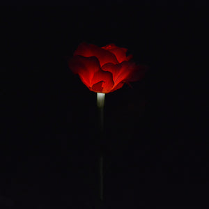 Outdoor Solar Lights, Rose Flower Solar Powered LED Stake Light, Landscape Decorative Night Light for for Yard Garden Pathway Bright red ZopiStyle