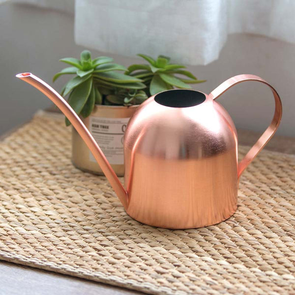 500ML Stainless Steel Long Mouth Watering Can Kettle for House Plant Indoor Outdoor  Gold ZopiStyle