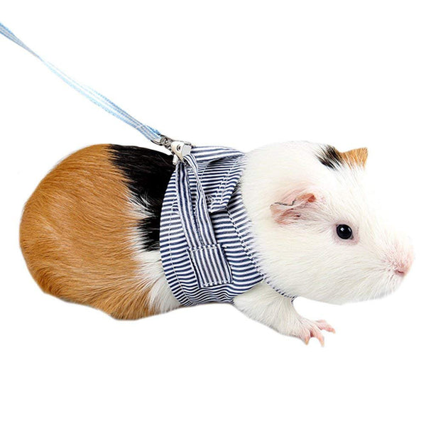 Pet Hamster Traction Strap Cotton Rope ZopiStyle